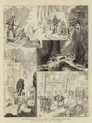 Bärenjagd in den Pyrenäen